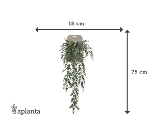 Kunst hangende eucalyptus - Richard | 75 cm