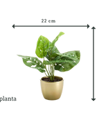Kunst Monstera Struik - Lotte | 30 cm