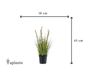 Kunst lampenpoetser - Paulin | 45 cm