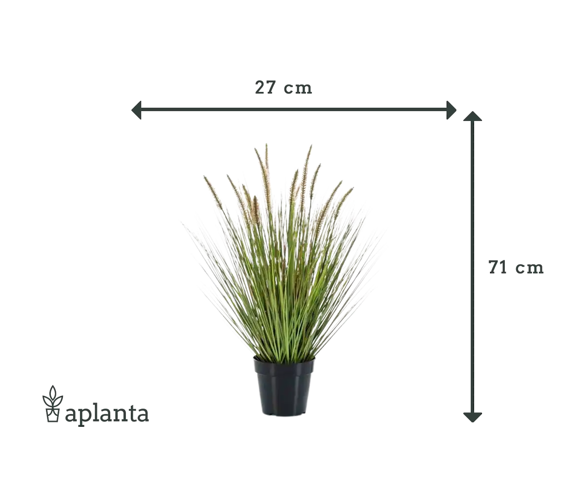 Kunst lampwisser gras - Paulin | 71 cm