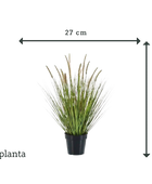 Kunst lampwisser gras - Paulin | 71 cm